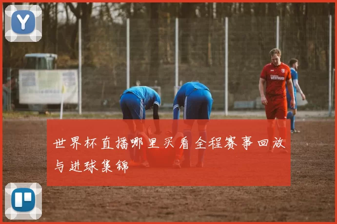 世界杯直播哪里买看全程赛事回放与进球集锦