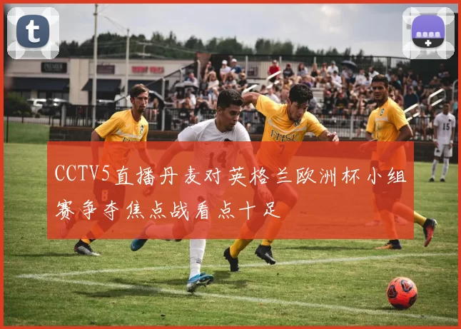 CCTV5直播丹麦对英格兰欧洲杯小组赛争夺焦点战看点十足